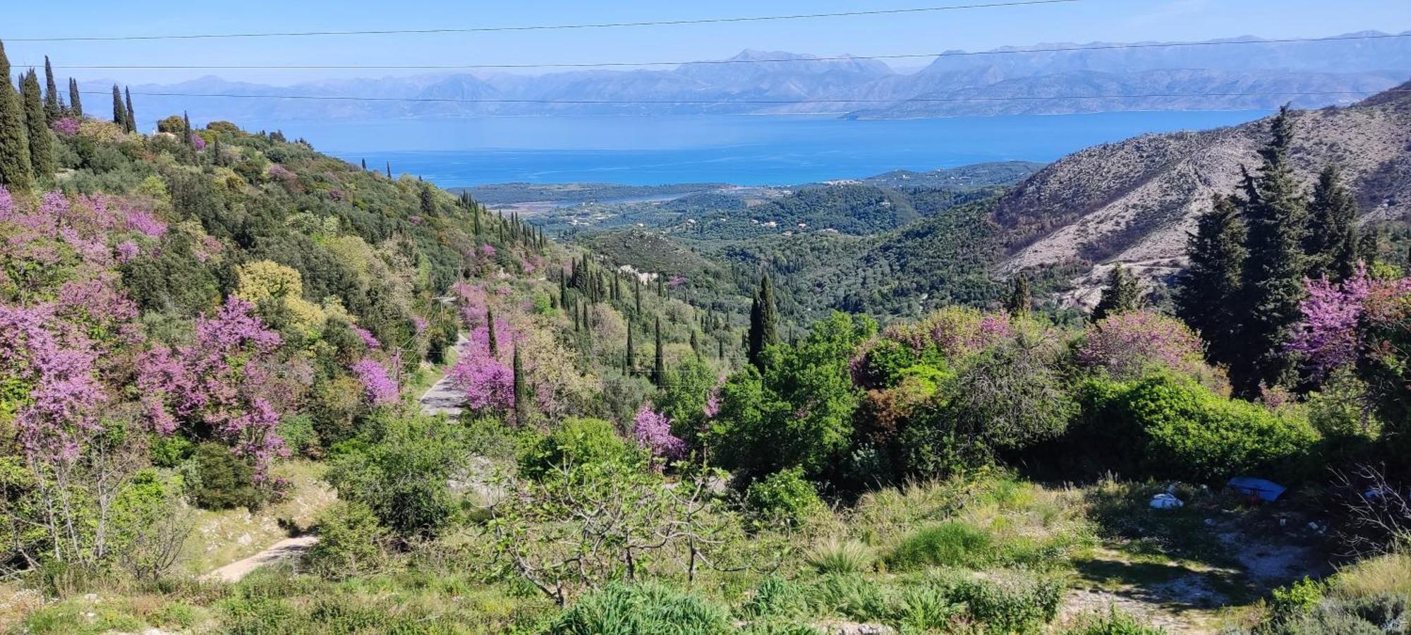 Апартаменти Castello Di Lafki Corfu  Екстер'єр фото